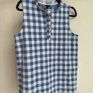 Ann Taylor Blue and White checkered top